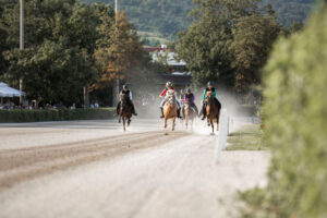 Beim Rennen_by saendras