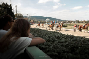 Zusehen bei den Trabern_by saendras