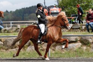 Lissi Wehl mit Turnierpferd_Foto von Neddens Tierfoto