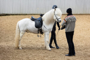 Beim Training_Foto Nicole Heiling Photography