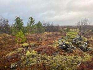 Rund um Reykjavík