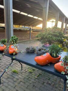 Oirschot_Foto von Eva Beun Lekkerkerker